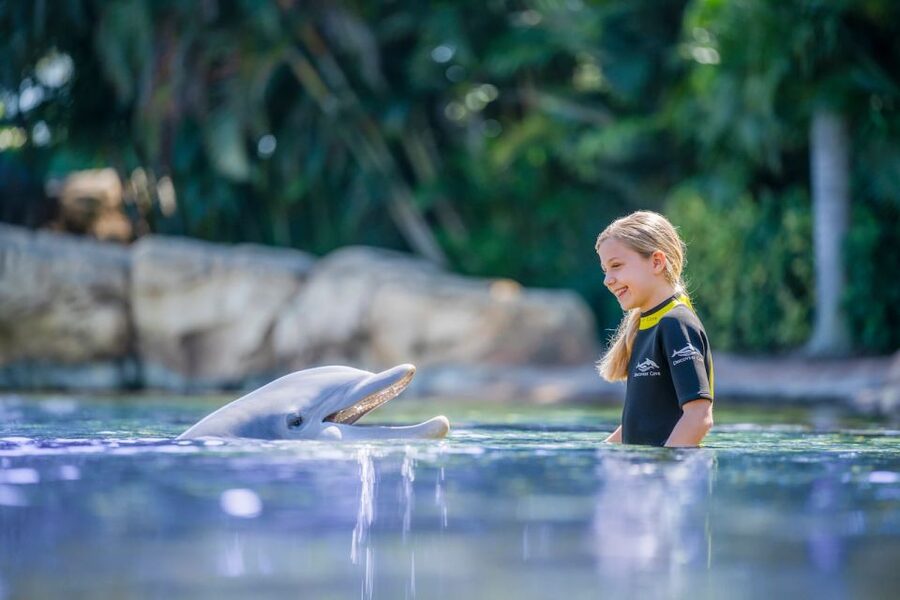 Orlando: Discovery Cove Admission Ticket & Additional Parks - When the Heat and Weather Hit: How to Keep the Day Working