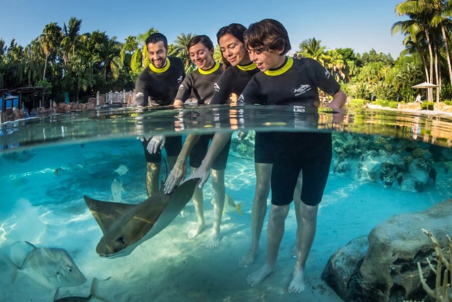 Orlando: Discovery Cove Admission Ticket & Additional Parks - Your All-Inclusive Day: Food, Drinks, and What They Provide