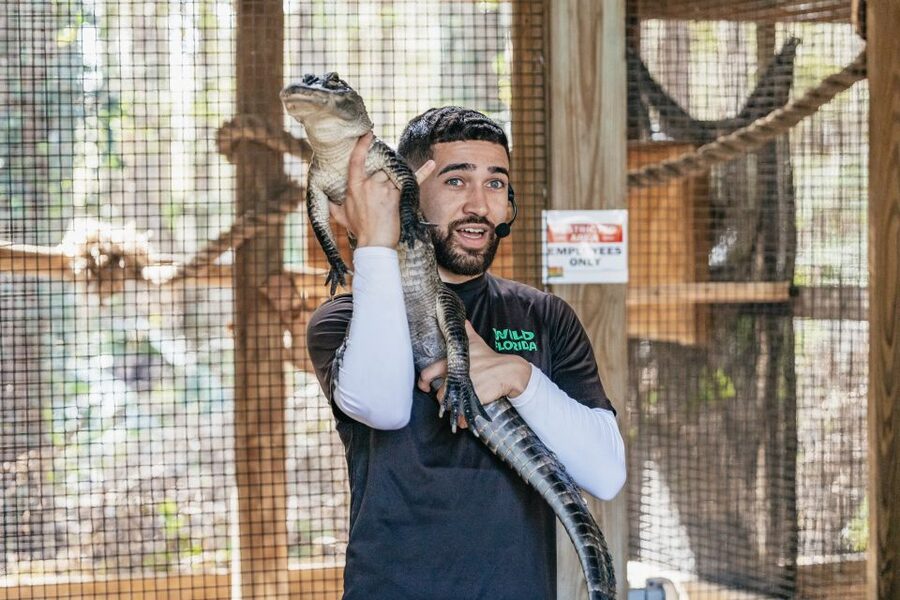 Orlando: Drive-Thru Safari Park at Wild Florida - Who should book this safari, and who might want a different plan