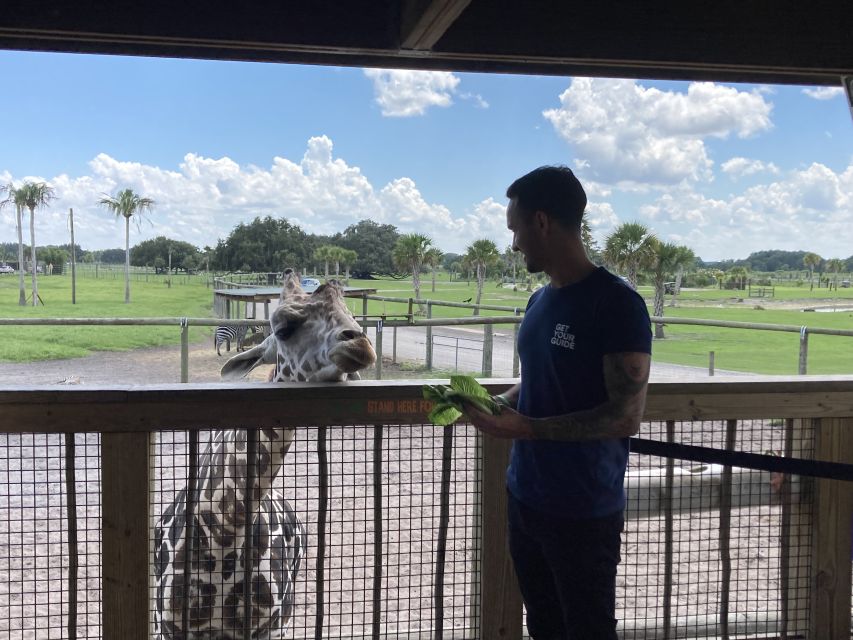 Orlando: Drive-Thru Safari Park at Wild Florida - Price and value: what $35 gets you, and what to budget for