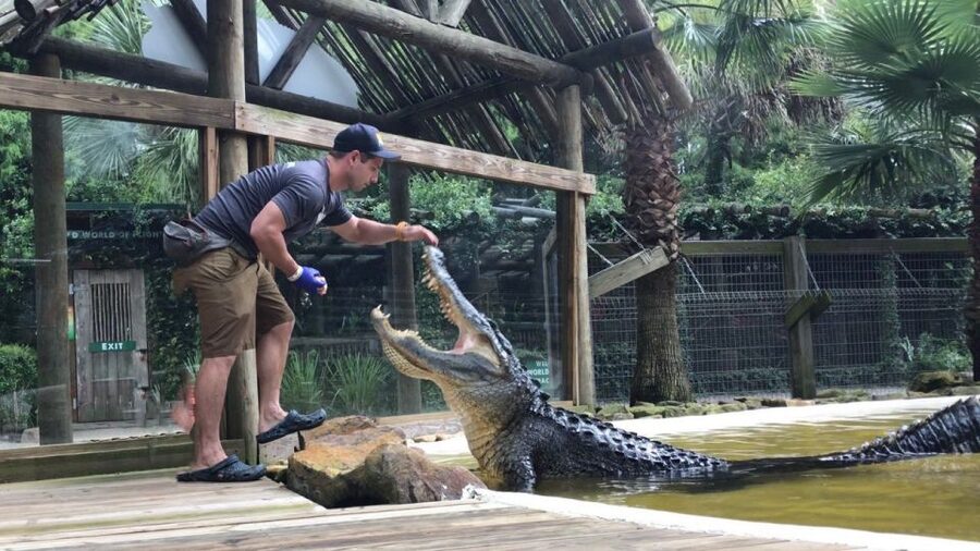 Orlando: Everglades Airboat Ride and Wildlife Park Ticket - Food and the Café Break You Can Actually Plan On
