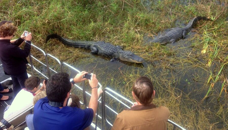 Orlando: Everglades Airboat Ride and Wildlife Park Ticket - Logistics That Matter in the Real World: Getting There, Getting Back
