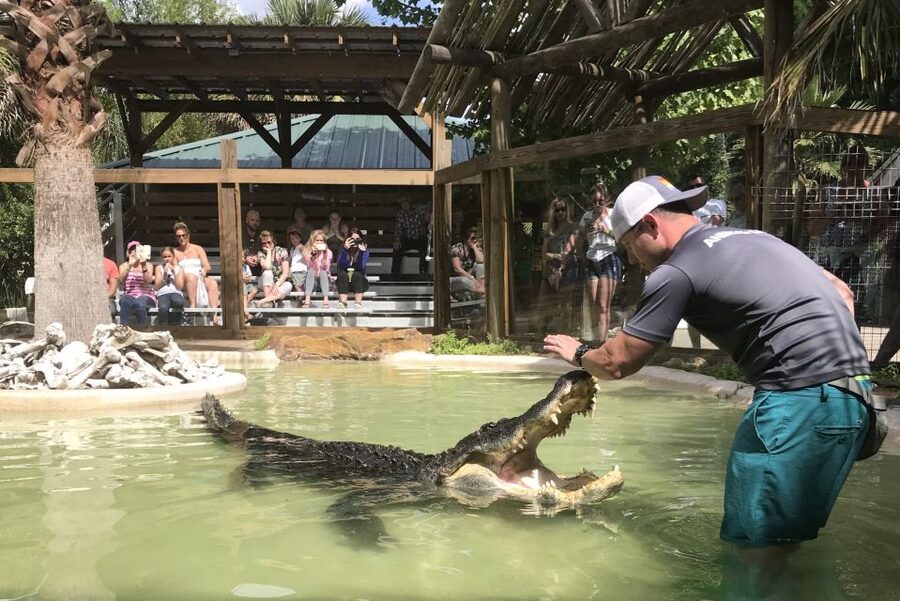 Orlando: Everglades Airboat Ride and Wildlife Park Ticket - Price and Value: Is the $36 Ticket a Good Deal?