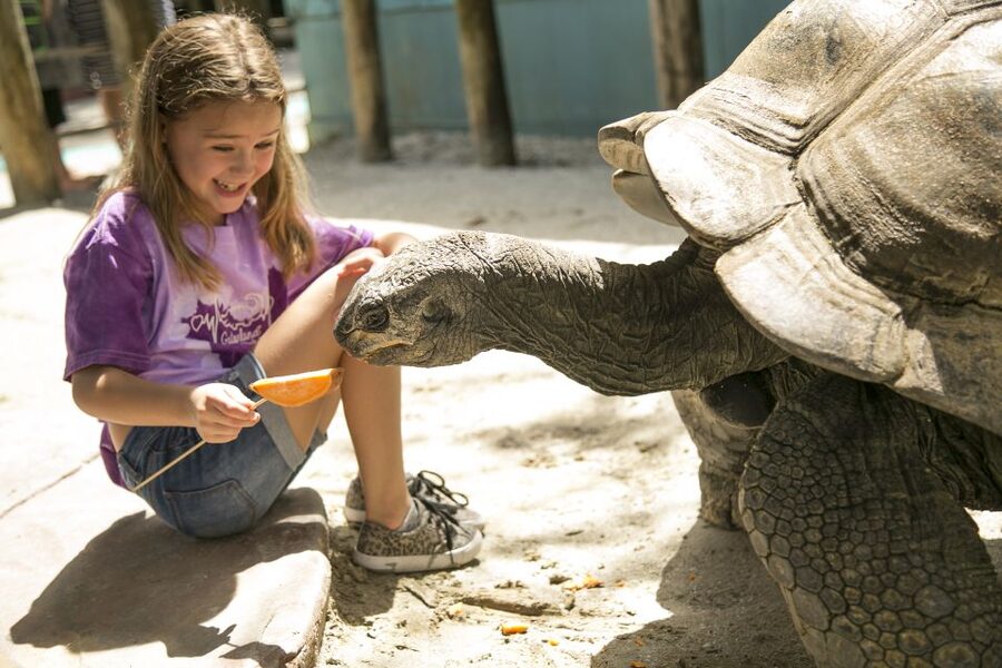 Orlando: Gatorland Skip-the-Line Ticket - Free-flight aviary, petting zoo, and the breeding marsh walk