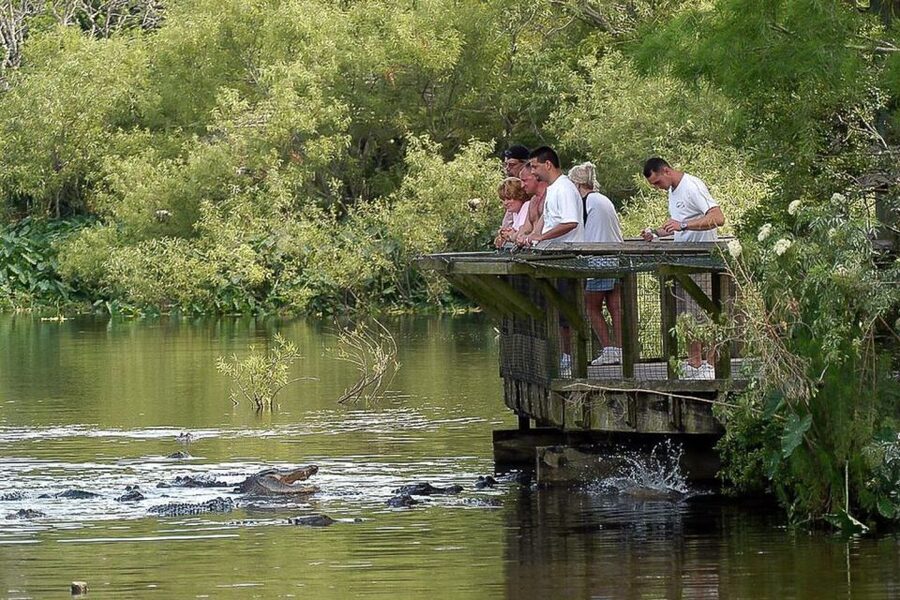 Orlando: Gatorland Skip-the-Line Ticket - Should you book this skip-the-line Gatorland ticket