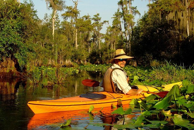 Orlando Manatee Encounters - Snake River and the creek shelter: birds, alligators, and surprise sightings