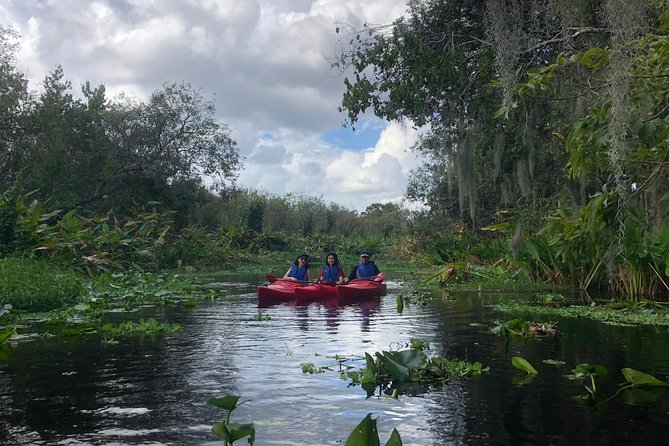 Orlando Manatee Encounters - What your guide does first: safety, paddling basics, and wildlife etiquette