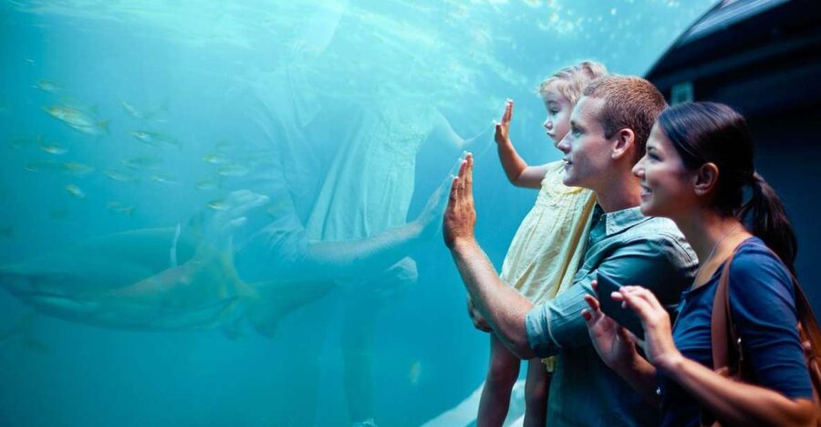 Orlando: SEA LIFE Orlando Aquarium - Optional Add-Ons: VR Sharks and the Backstage Tour