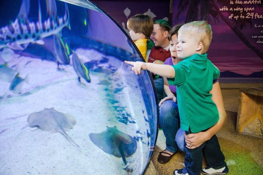 Orlando: SEA LIFE Orlando Aquarium - How Long You Need, So You Do Not Feel Rushed