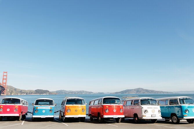 Painted Ladies San Francisco City Tour - Guide spotlight: why Jim, Jack, Caio, and others elevate the ride