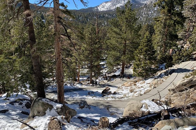 Palm Springs Aerial Tramway Admission Ticket - Key things I’d circle before you go