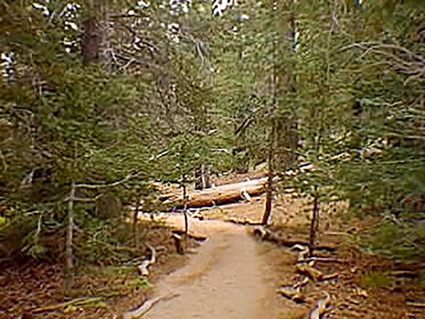 Palm Springs: Aerial Tramway Round-Trip Ticket - Palm Springs Aerial Tramway in plain terms: what makes it special