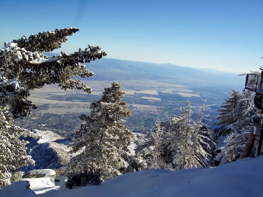 Palm Springs: Aerial Tramway Round-Trip Ticket - Arriving at the tram: where to go and how the timed ticket works