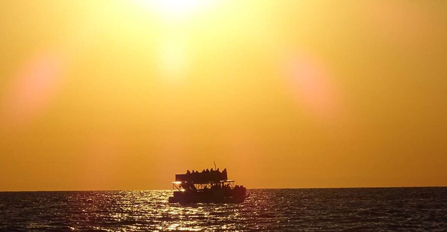 Panama City: Sunset Dolphin Cruise in St. Andrews Bay - Boarding Day on the Water: What Happens During the 90 Minutes