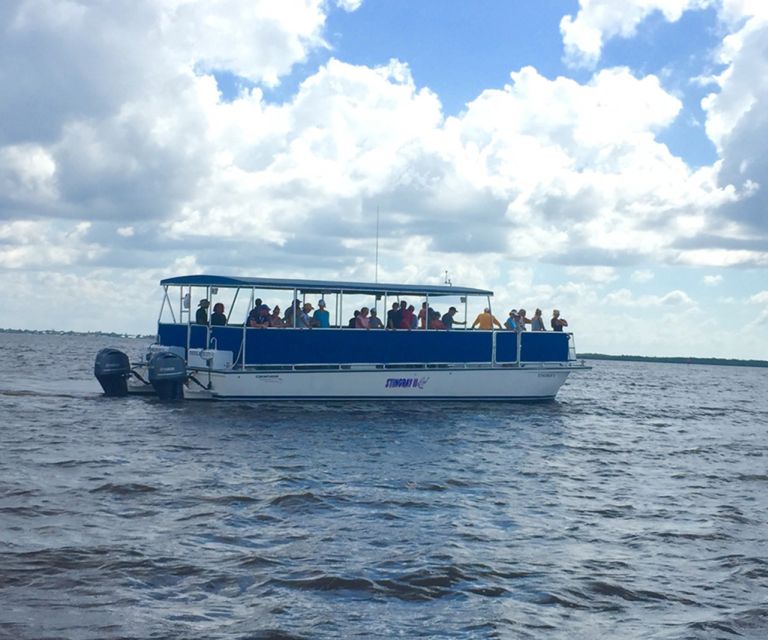 Panama City: Sunset Dolphin Cruise in St. Andrews Bay - On Board Comfort: Catamaran Layout, Drinks, and Crew Help