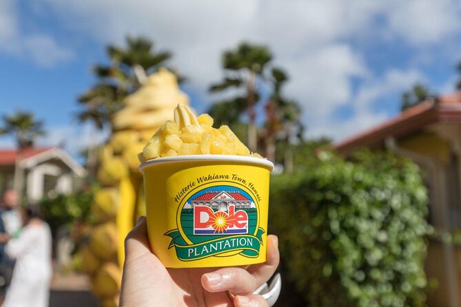 Pearl Harbor, Dole Plantation, and Polynesian Center from Waikiki - Key things that make this tour work