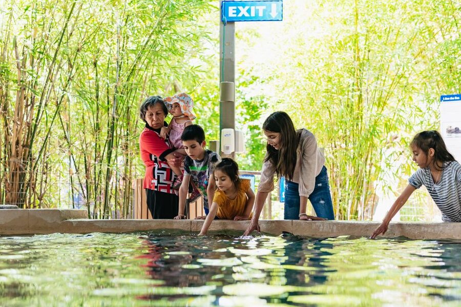 Phoenix Zoo One Day General Admission Ticket - Key things that make this Phoenix Zoo day ticket worth it