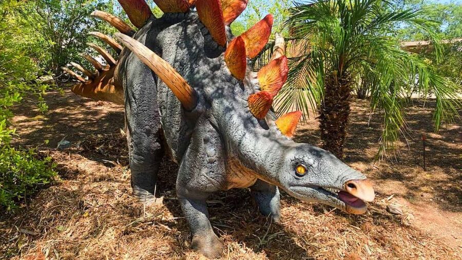 Phoenix Zoo One Day General Admission Ticket - Price and value for a one-day zoo plan