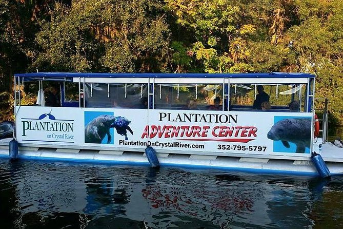 Plantation's Kings Bay Scenic Cruise - Group Size and Viewing: What Helps, What Can Get in the Way