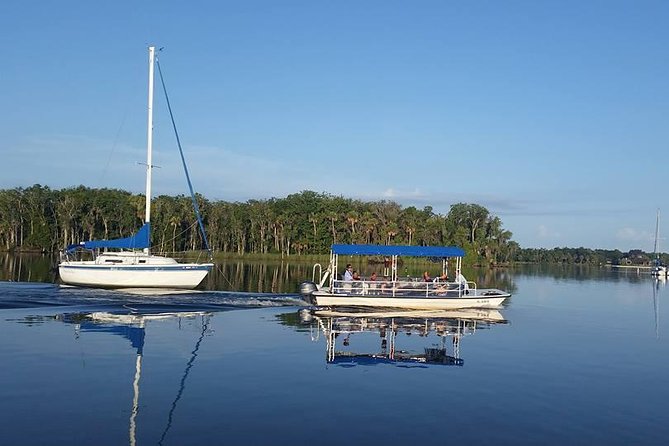 Plantation's Kings Bay Scenic Cruise - Price and Value: Why $25 Can Make Sense in Crystal River