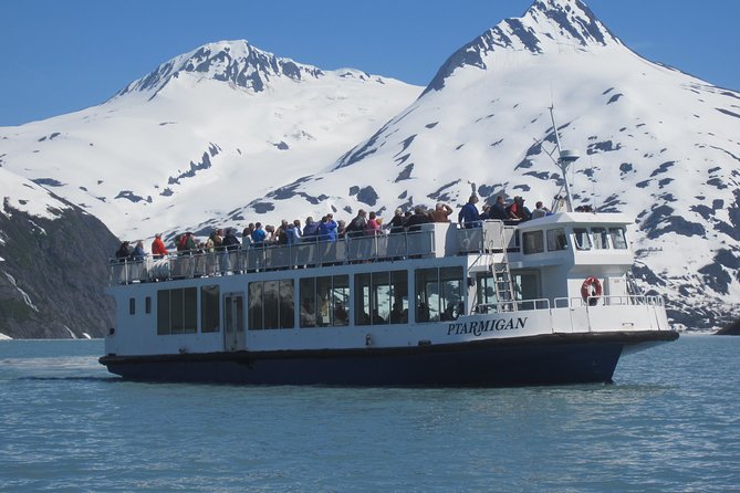 Portage Glacier Cruise and Wildlife Explorer Tour - Key points to know before you go