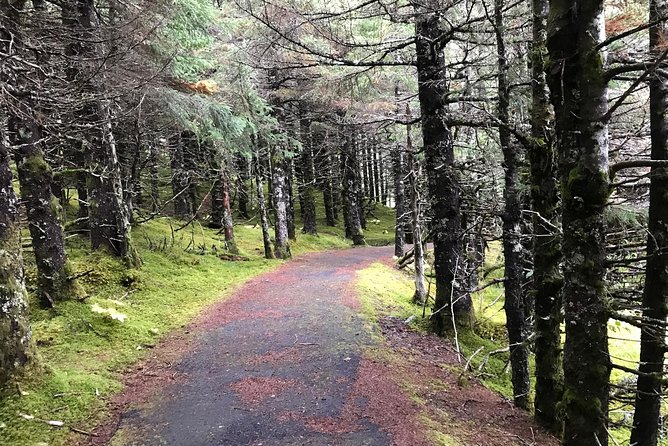 Portage Glacier Cruise and Wildlife Explorer Tour - Alaska Wildlife Conservation Center at 140 acres: rehab animals and real learning