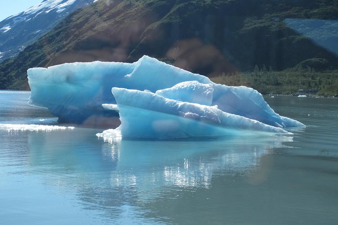 Portage Glacier Cruise and Wildlife Explorer Tour - Guides make a difference: Matt, Gary, and how they handle questions