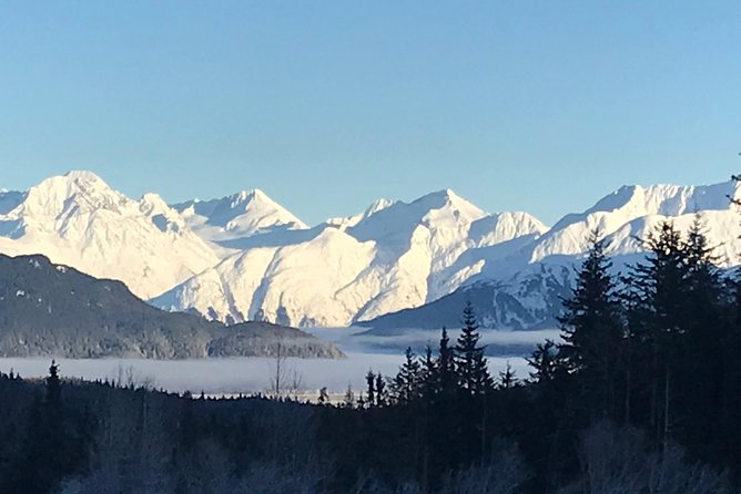 Portage Glacier Cruise and Wildlife Explorer Tour - Pricing and value: what $239 buys you in Anchorage