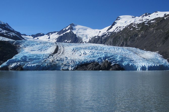 Portage Glacier Cruise and Wildlife Explorer Tour - The one-hour Portage Glacier stop: what you’ll see and what to watch for