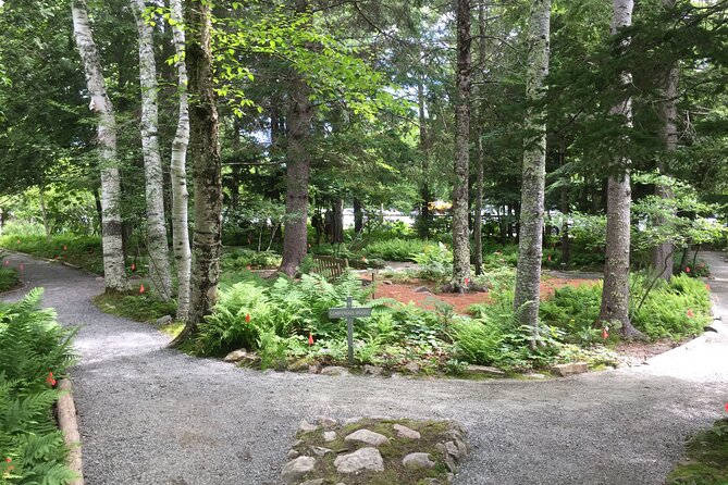 Premium Narrated Bus Tour of Bar Harbor and Acadia National Park (3.5 Hours) - Who This Tour Suits Best in Acadia