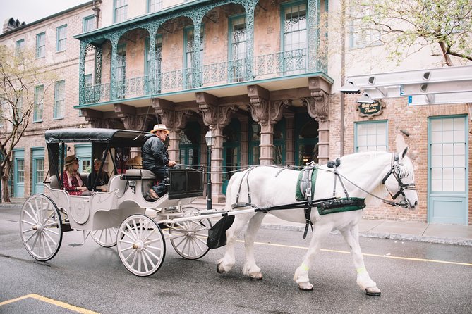 Private Daytime Horse-Drawn Carriage Tour of Charleston - It’s a “private” tour, but the comfort is practical too