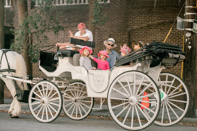 Private Daytime Horse-Drawn Carriage Tour of Charleston - Stop-by-stop: what each area is really for