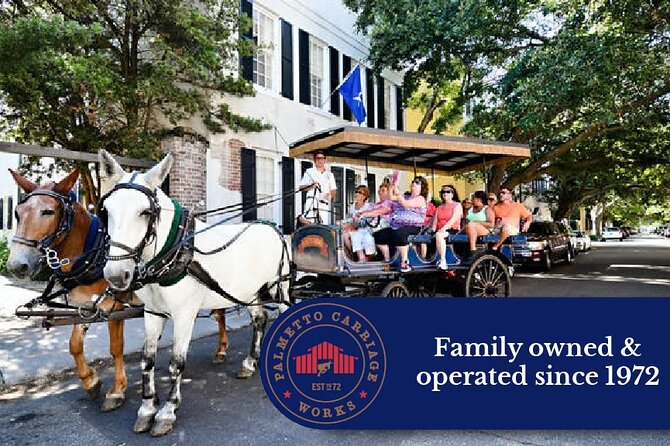 Private Daytime Horse-Drawn Carriage Tour of Charleston - Price and value: why $325 can be either a steal or too much