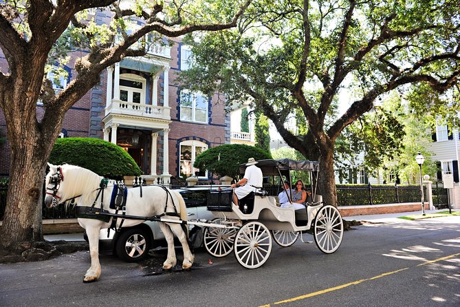 Private Daytime Horse-Drawn Carriage Tour of Charleston - Weather, comfort, and what to wear for an hour