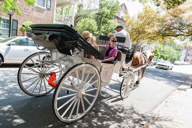 Private Daytime Horse-Drawn Carriage Tour of Charleston - Who this private carriage tour is best for