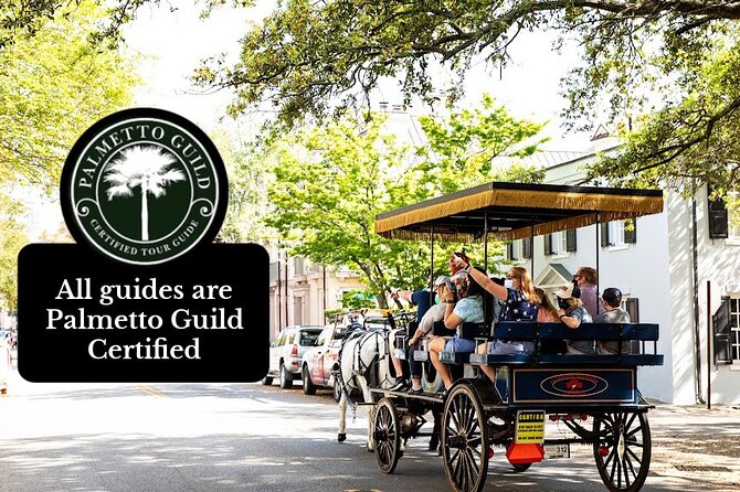 Private Daytime Horse-Drawn Carriage Tour of Charleston - The narration is the real product, and it pays off