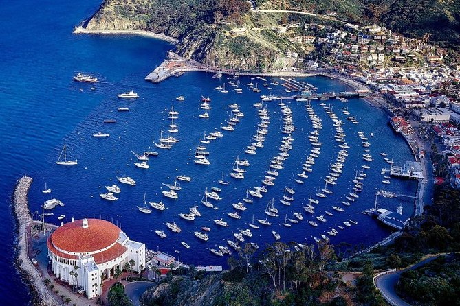 Private Guided Golf Cart Tour of Avalon - Stop by stop: Pebbly Beach, Mt. Ada, and the pet cemetery
