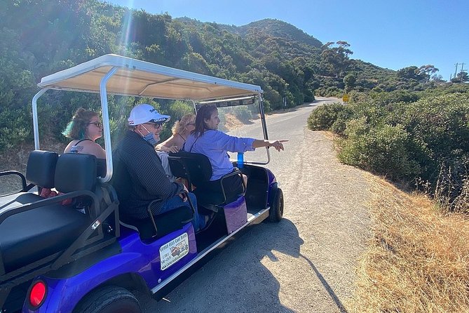 Private Guided Golf Cart Tour of Avalon - Price and value: $302.50 per group for up to 5