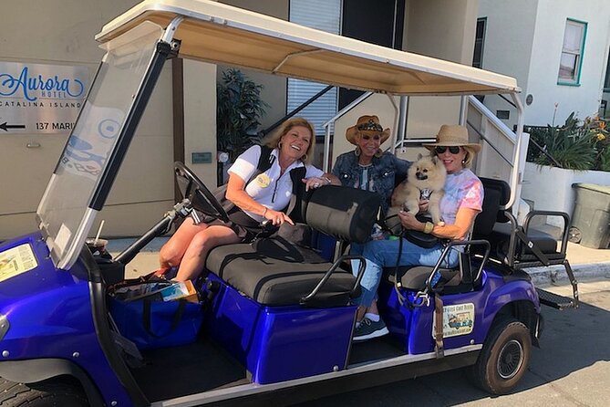 Private Guided Golf Cart Tour of Avalon - Meeting point, pickup, and the flow of a guided 2-hour loop