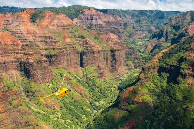 Private Kauaʻi Experience: Doors-Off ALL WINDOW SEATS - Who this private doors-off helicopter tour suits best