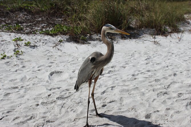 Private Luxury Boat Charter - Siesta Key and Sarasota From the Water in Two Hours