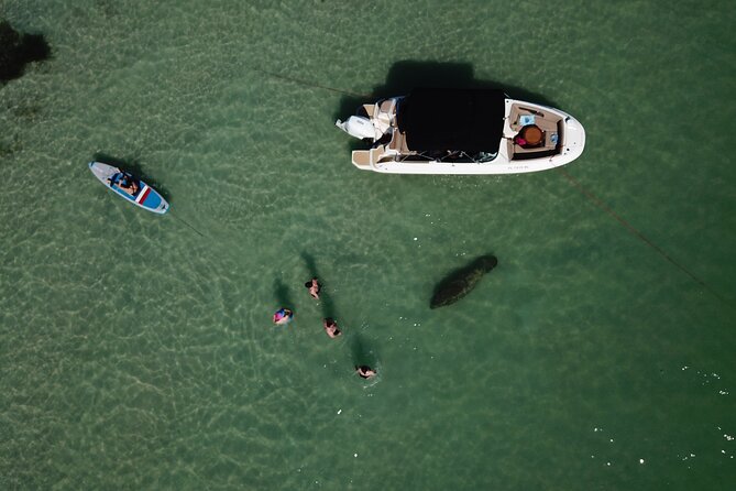 Private Luxury Boat Charter - Stop 1: Siesta Key Intercoastal Waterway and Wildlife Spotting