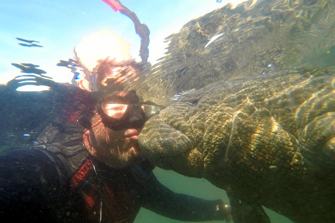 Private Manatee Swim for up to 6 with In-Water Divemaster/Photographer - Private in-water attention, including when kids are on board