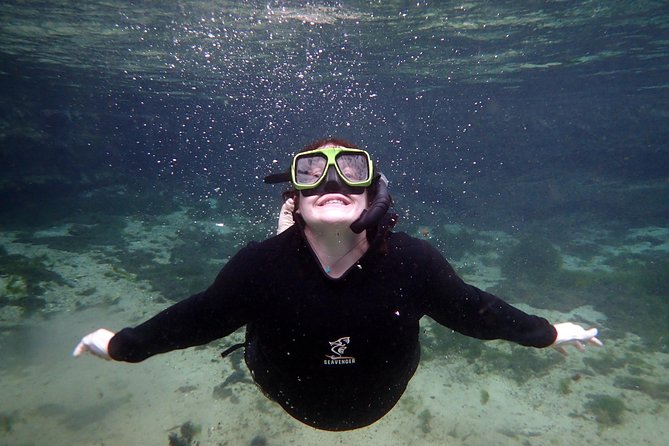 Private 'OG' Manatee Snorkel Tour with Guide for up to 10 people - Photos above and below the water: what you get, and how to decide on the purchase