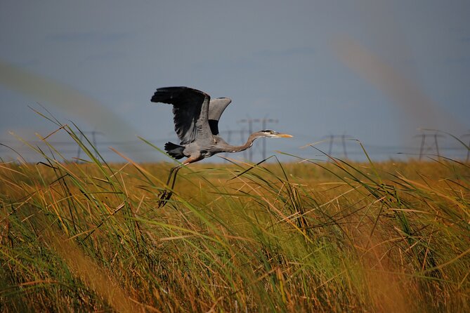 Private Tour: Florida Everglades Airboat Ride and Wildlife Adventure - The Glades Exhibit, mining, and the gift shop time