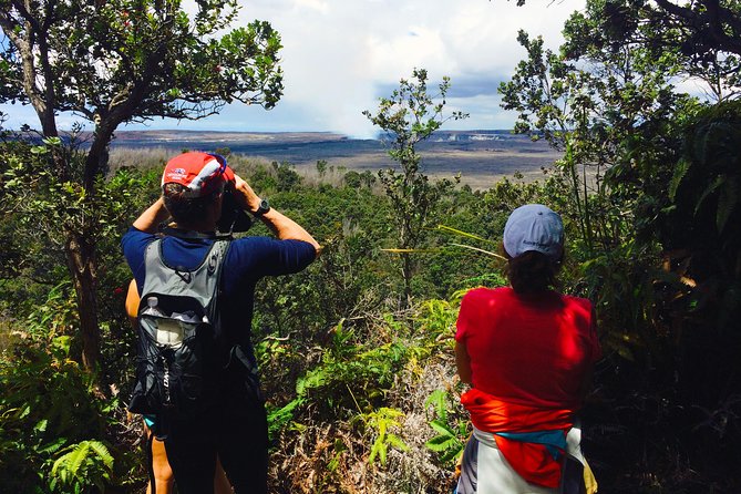 Private Tour: Hawaii Volcanoes National Park Eco Tour - Start at Volcano House, and get the park story in order