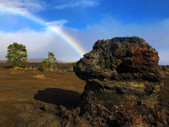 Private Tour: Hawaii Volcanoes National Park Eco Tour - Steam vents, sulphur banks, and the rainforest that survived