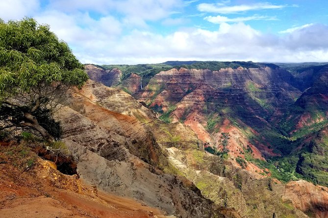 Private Waimea Canyon Tour - Kauai Coffee Company: free tasting, a coffee maze, and quick fun