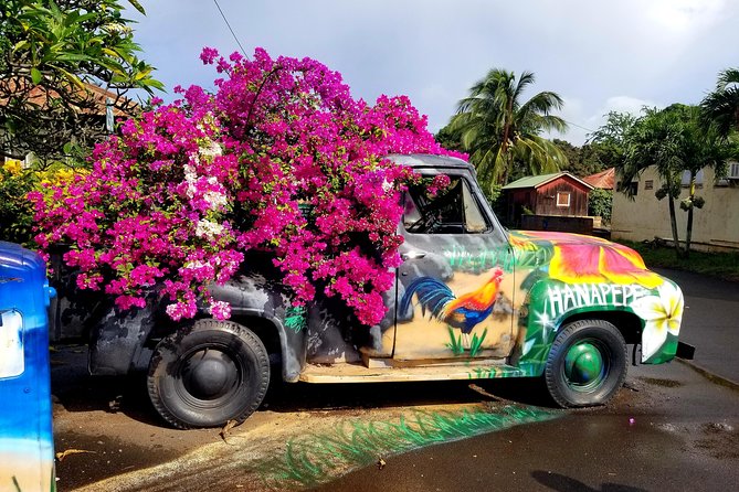 Private Waimea Canyon Tour - Price and what makes it feel like value at $360 per person