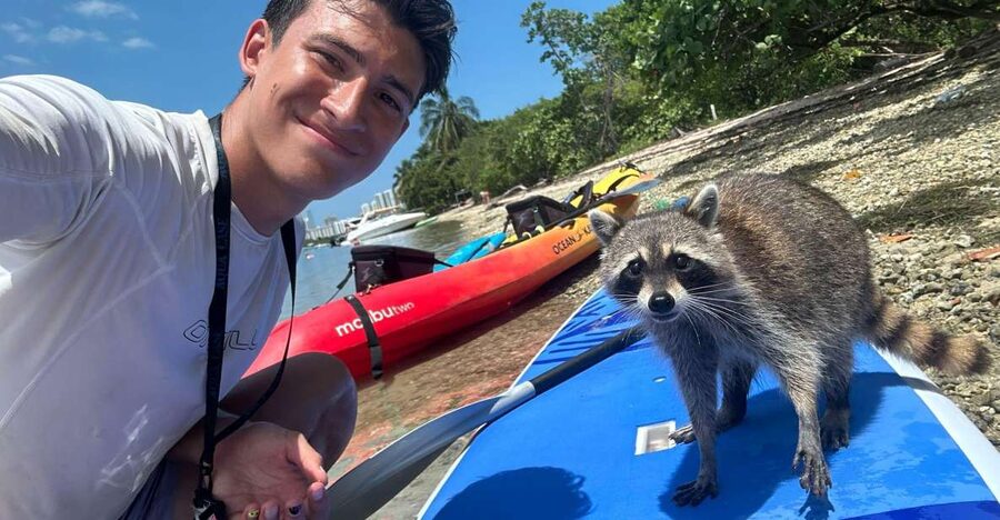 Raccoon Island: Exploration on SUP/Kayak - Guides and safety on the water, from briefing to boat transfer